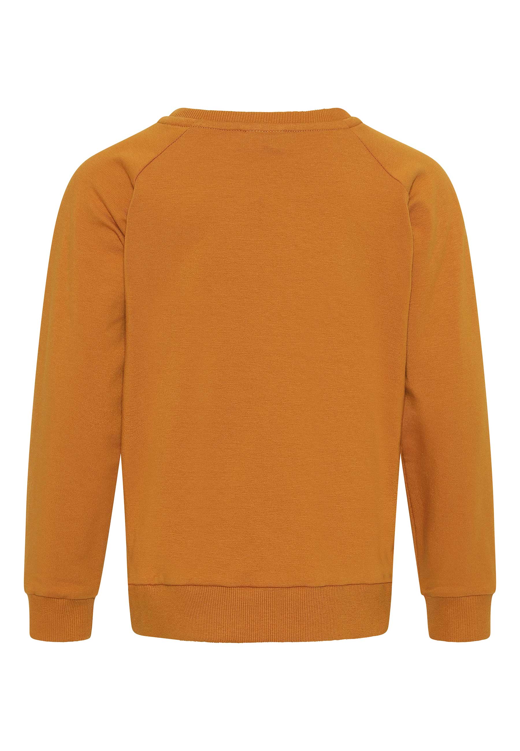 GROBUND Calle sweatshirten mini - den i gylden med flue